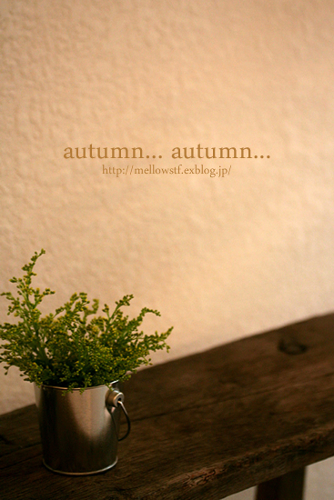 autumn... autumn..._d0124248_1463291.jpg