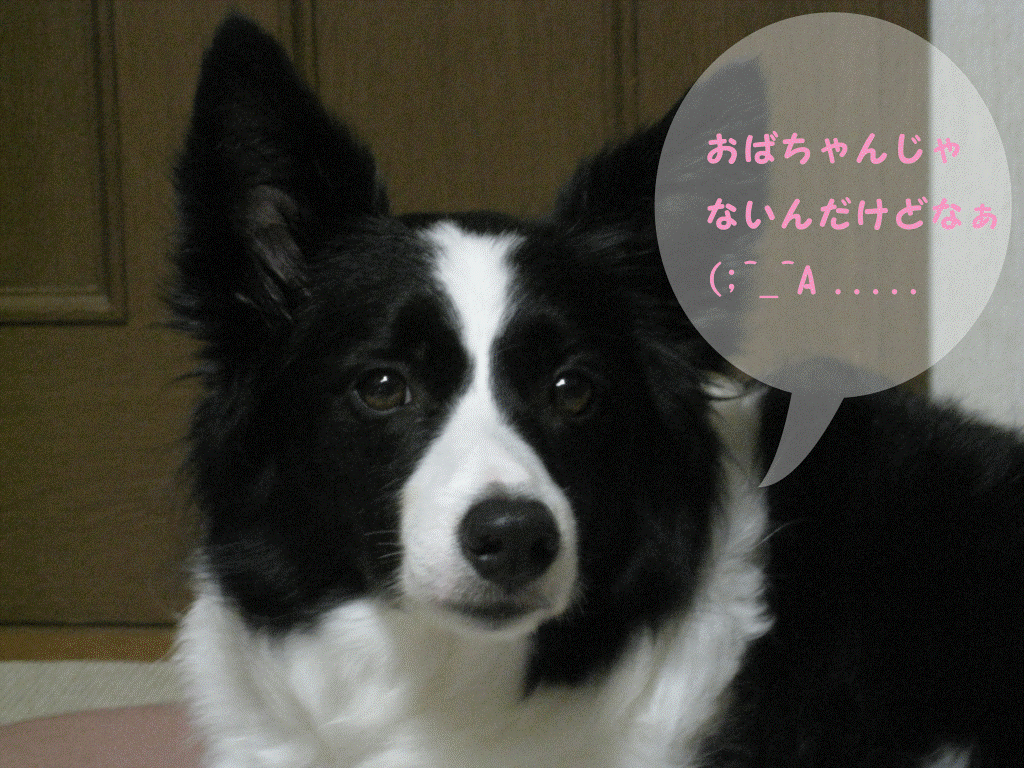 f0175449_0533345.gif