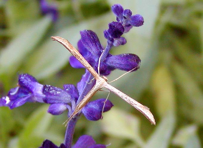 d0146854_04055.jpg