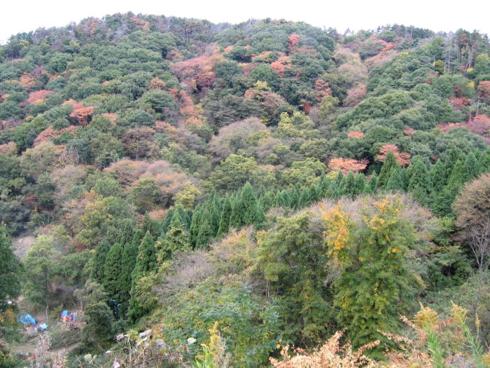 b0129962_17362364.jpg
