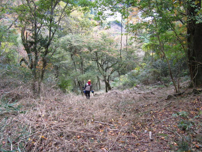 b0129962_17463757.jpg