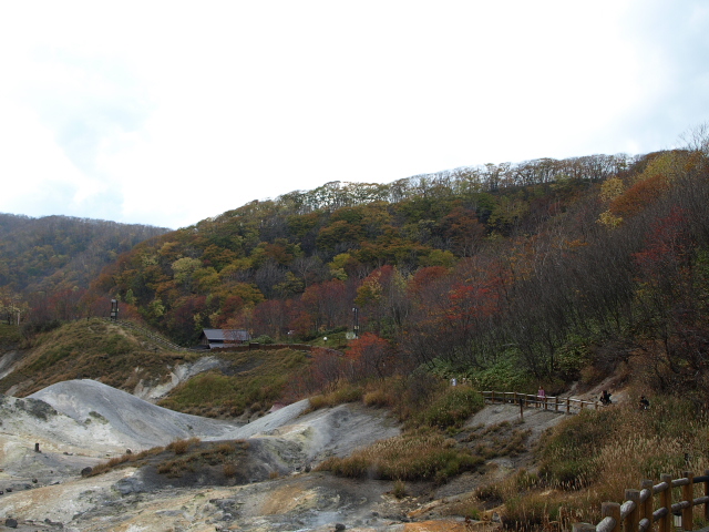 初冬の地獄谷遊歩道_d0153062_9571767.jpg