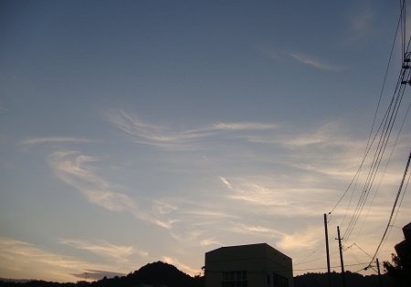 a0039366_17503340.jpg