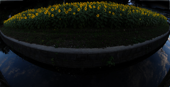f0171067_22434874.jpg