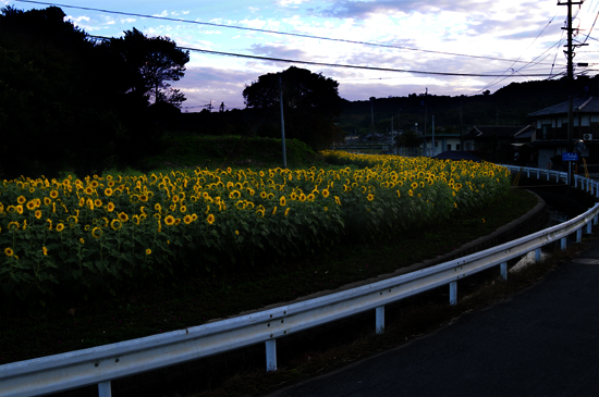 f0171067_22444924.jpg