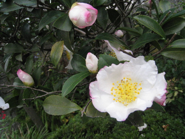 c0132387_235084.jpg