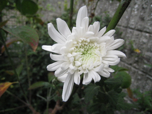 c0132387_23515463.jpg