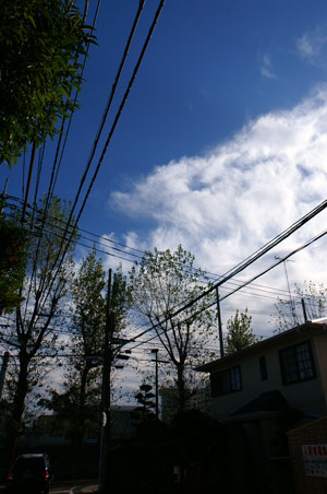 d0122194_16371464.jpg