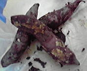 c0135795_23451831.jpg