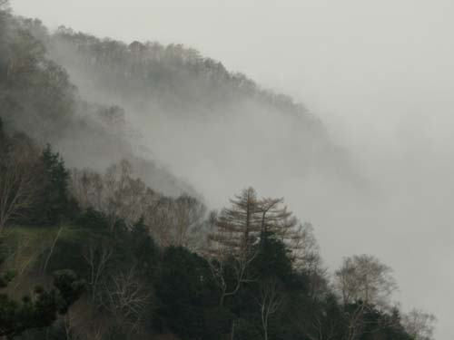 幻想的な霧が作り出す景色_e0120896_755848.jpg