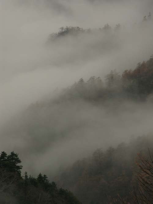 幻想的な霧が作り出す景色_e0120896_77418.jpg
