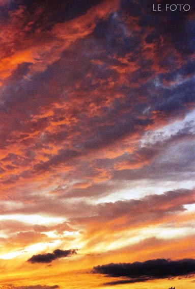 b0124900_16444631.jpg