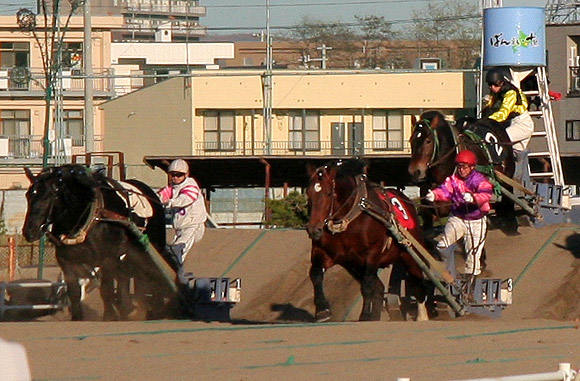 ばんえい競馬ってスゴイよ！＠帯広3_d0117900_138313.jpg