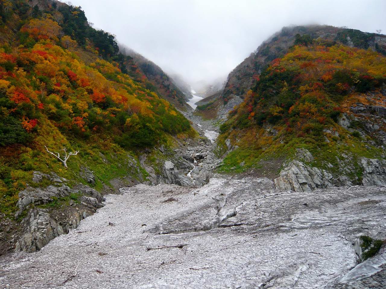 剱沢から池ノ平へ　（２日目）_e0110500_21353233.jpg