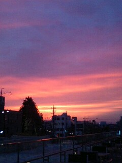 夕焼け_b0019903_154017.jpg