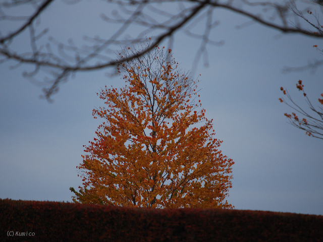 c0090703_15212936.jpg