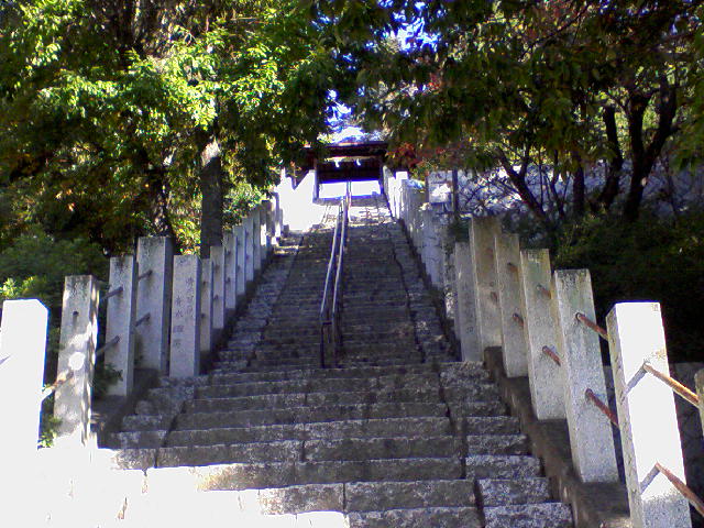 國神社_f0197703_10274345.jpg