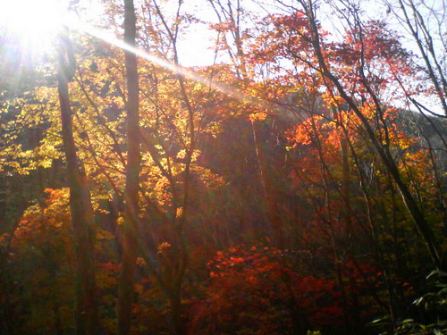 温泉＆紅葉トレッキング in 福島_e0083204_1285449.jpg