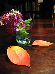 e0118904_20382983.jpg