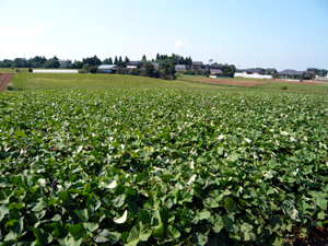 b0076710_1759414.jpg