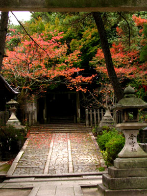 紅葉探訪　今宮神社_e0048413_19542914.jpg