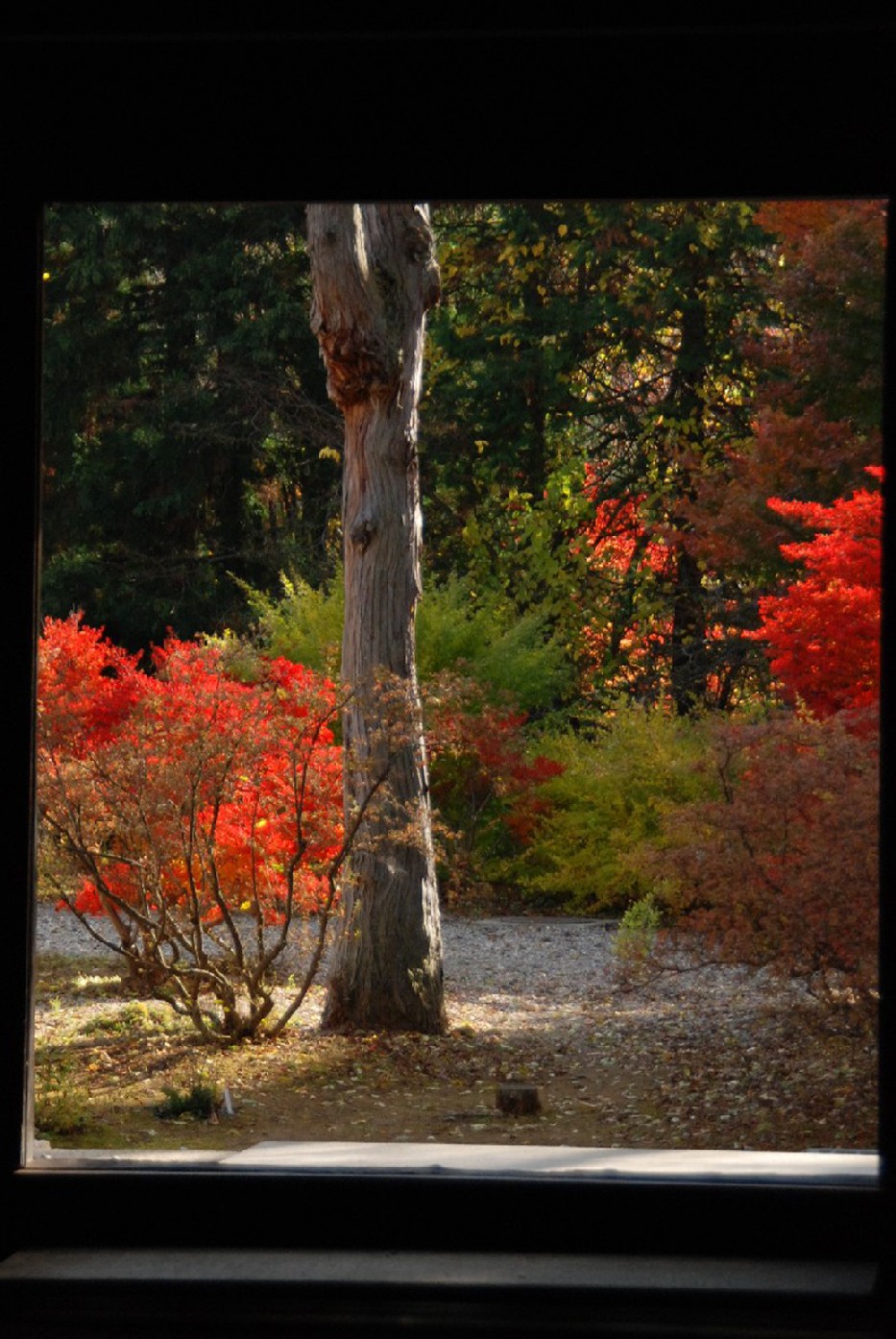 霊松寺　（大町）_e0114815_12314871.jpg