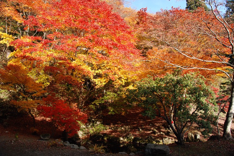 霊松寺　（大町）_e0114815_1246245.jpg