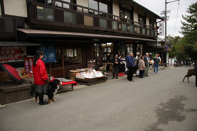 b0065717_22232494.jpg