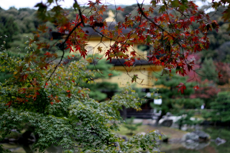 b0132924_21293910.jpg