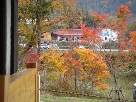 f0042726_8284875.jpg