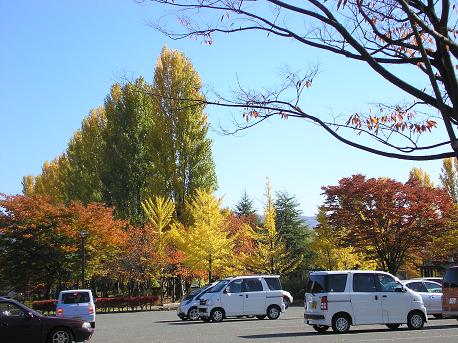 またまた蕎麦ポタリング_f0050226_1632992.jpg