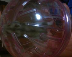 a0103230_24731.jpg
