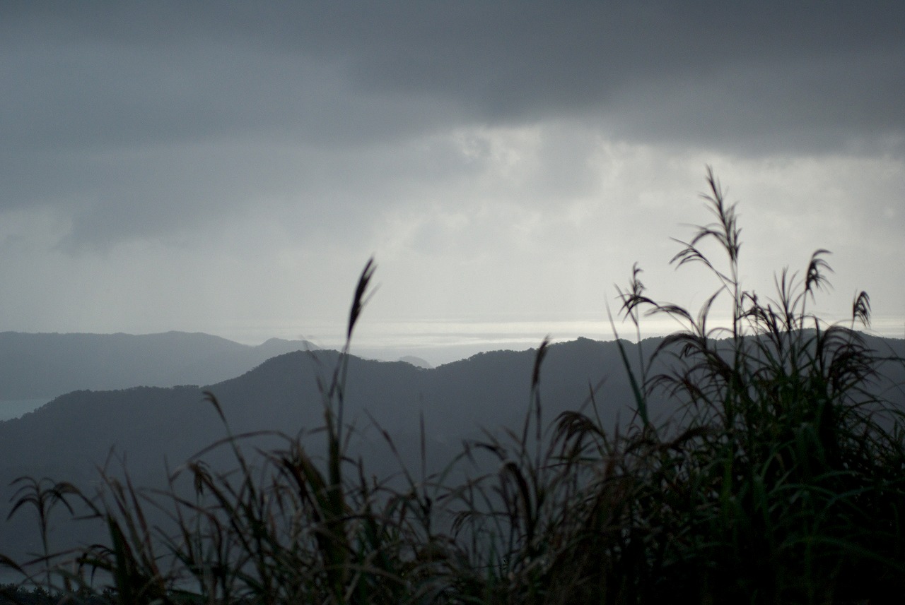 まだ　雨の抜けない風景_d0053930_18213760.jpg