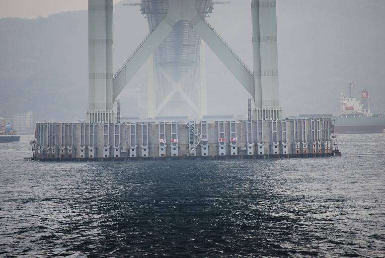 明石大橋  ブラシの木_f0099535_18415419.jpg