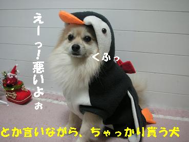 c0179136_2322149.jpg