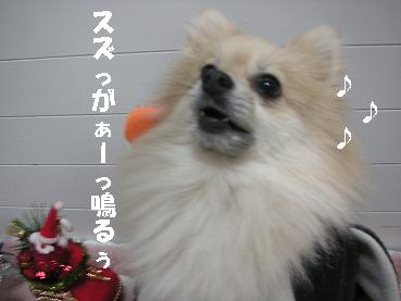 c0179136_23224332.jpg