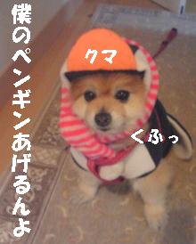 c0179136_2322968.jpg