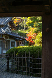 ＊体がポンプになるみたいに走る_a0030038_225686.jpg