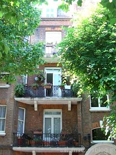 b0106739_174564.jpg