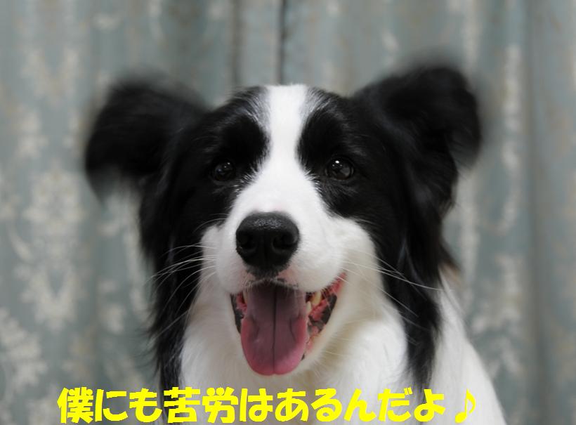 c0147241_23345089.jpg