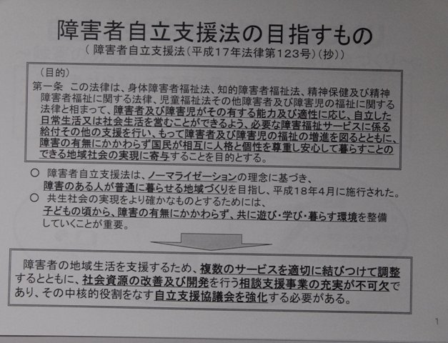 障害者自立支援法３年目を向えて見えてきたもの－その課題と展望_a0103650_18525613.jpg