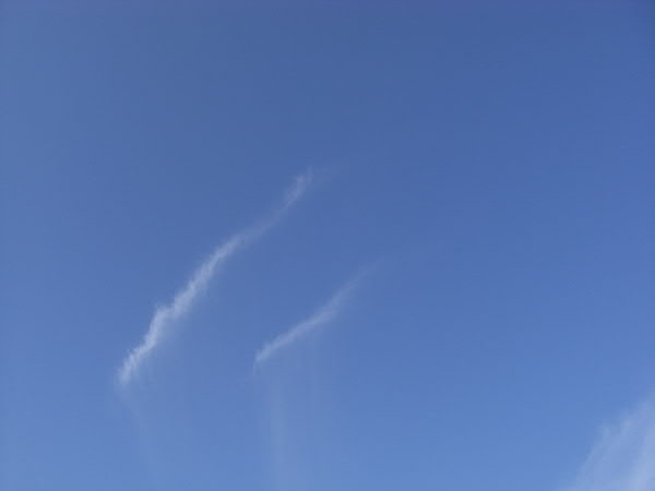 e0017051_02383.jpg