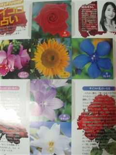 ★雑誌情報★2006/2007_d0082655_1944230.jpg