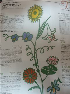 ★雑誌情報★2006/2007_d0082655_1981093.jpg