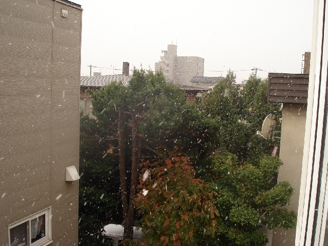 d0089157_18402511.jpg
