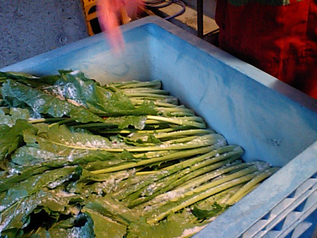 c0117062_1431439.jpg