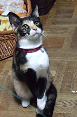 a0064067_233557.jpg