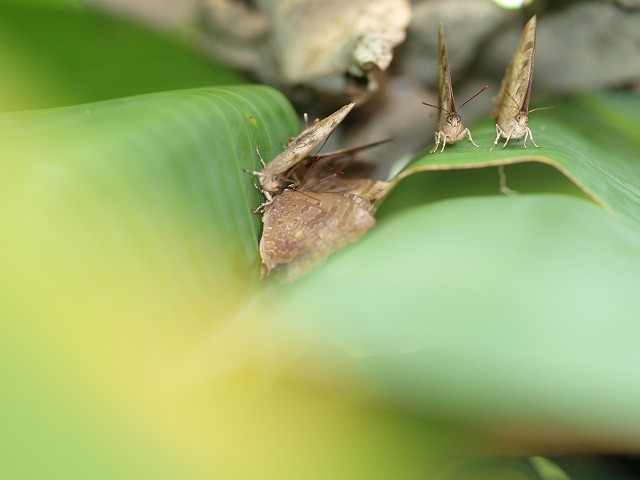 b0135573_16104171.jpg