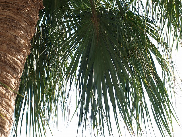 b0135573_1661487.jpg