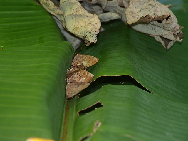 b0135573_1684963.jpg